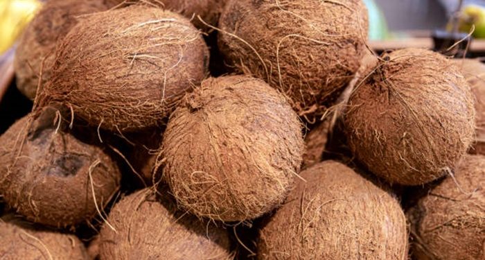 தேங்காய் தட்டுப்பாட்டிற்கு புதிய தீர்வு