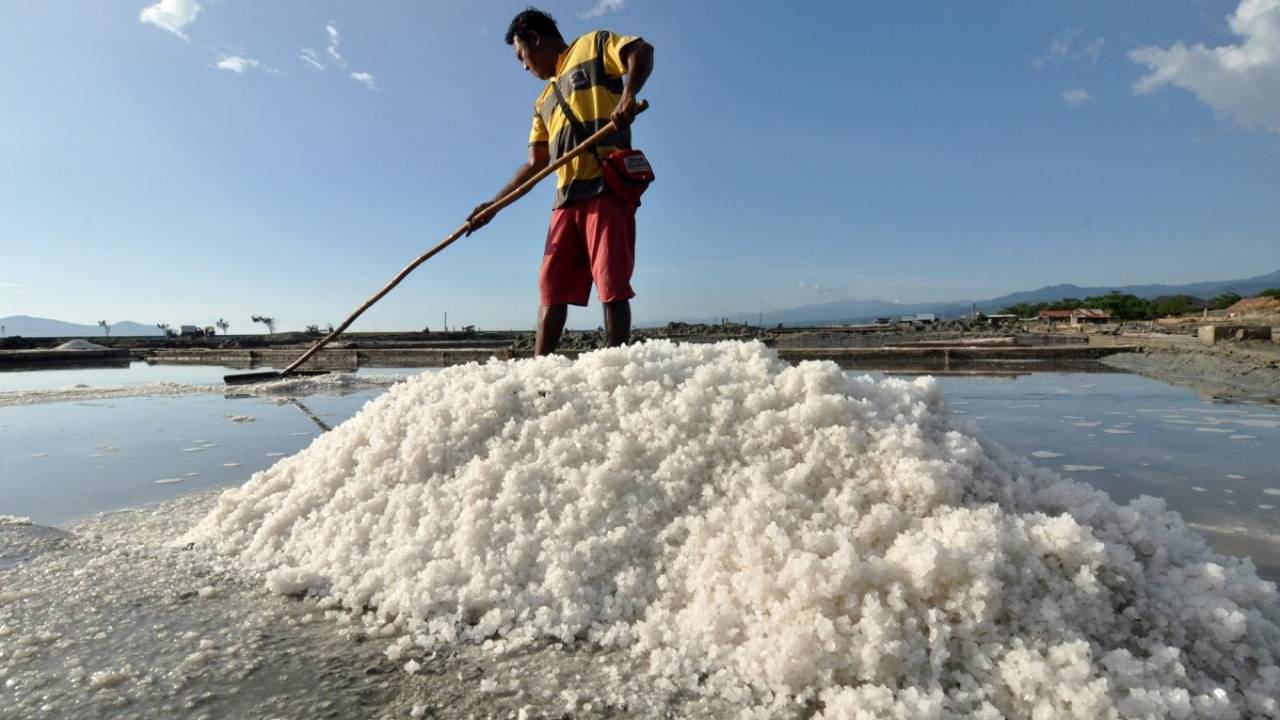 30,000 மெற்றிக் தொன் உப்பு இறக்குமதிக்கு அனுமதி!