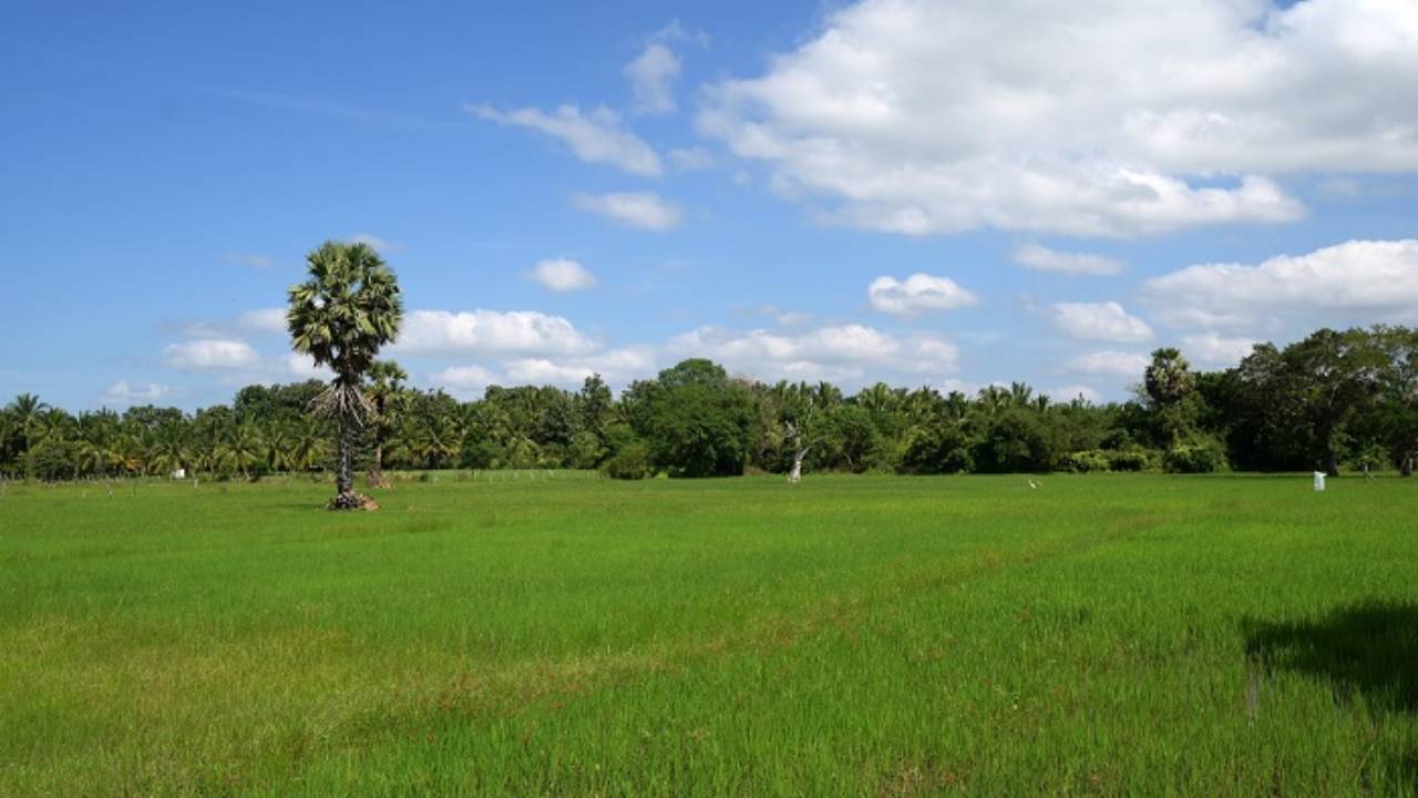 விவசாயிகளுக்கான இழப்பீடுக்கு அமைச்சரவை அனுமதி!