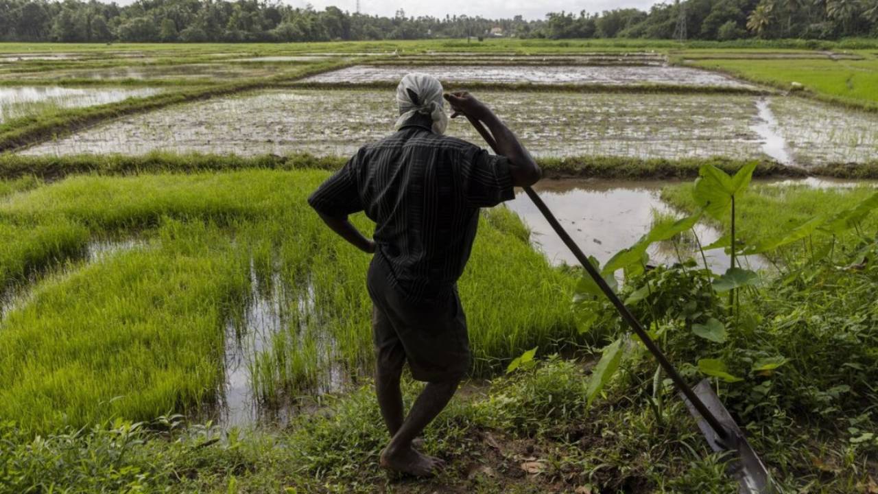 பயிர் சேத இழப்பீடு குறித்த அறிவிப்பு!