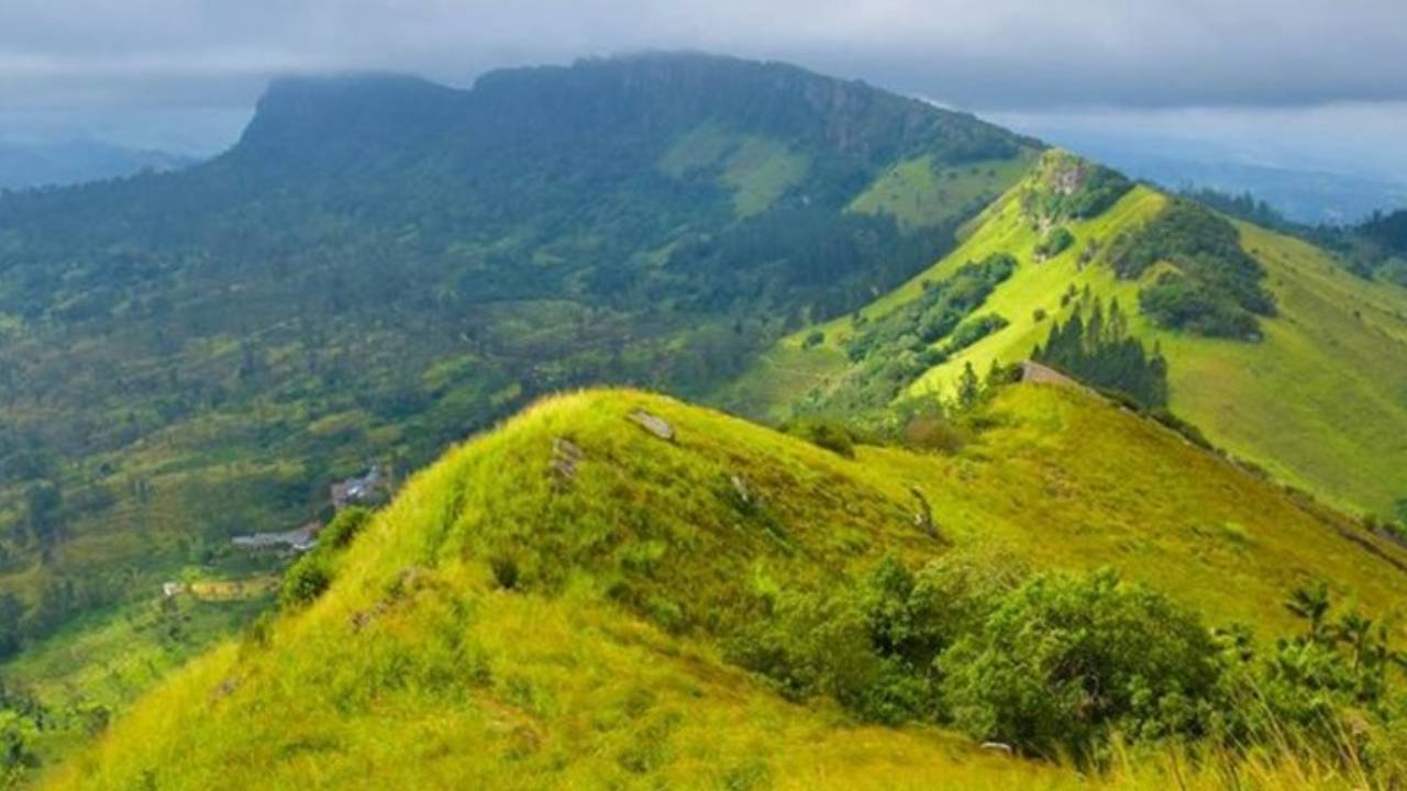 ஹந்தானை மலைத்தொடரில் காணாமல் போன மாணவர்கள் மீட்பு!