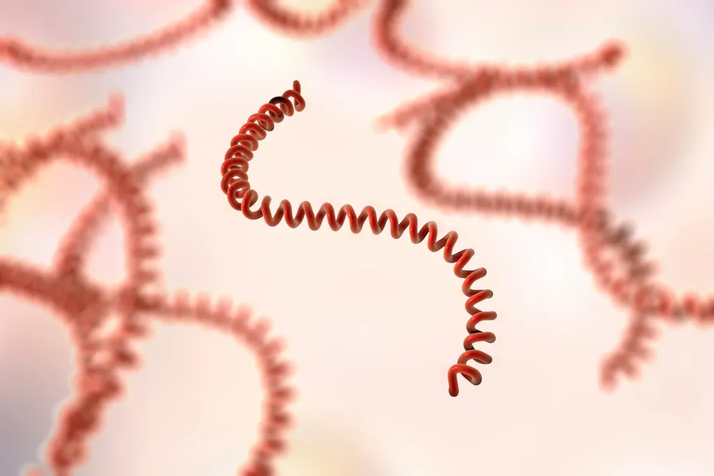 வடமாகாணத்தில் உயிரிழந்தோரின் பரிசோதனை அறிக்கை வெளியானது