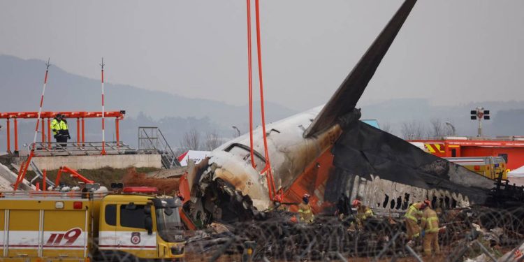 ஜெஜு ஏர் விபத்து; விமானத்தின் என்ஜின்களில் பறவை இறகுகள்!