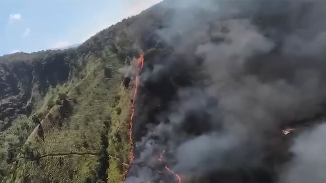 எல்ல வனப் பகுதியில் தீப்பரவல்!