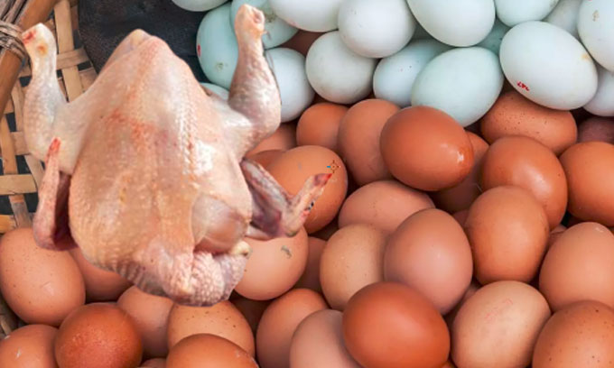 மூன்று மாதநிலங்களில் இருந்து கோழி, முட்டை வாங்க தடை