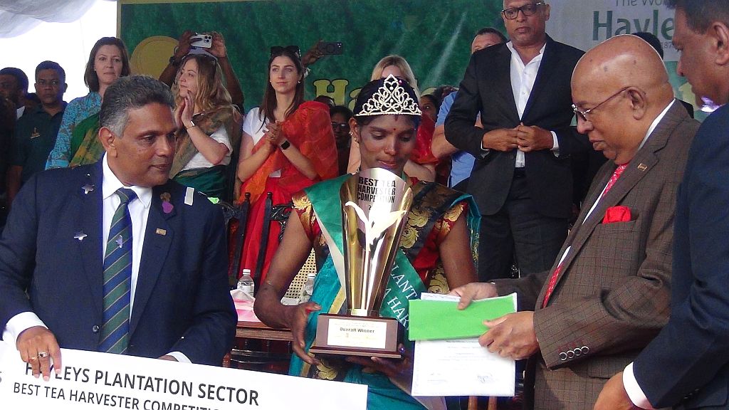 தேயிலை கொழுந்து பறிக்கும் போட்டி – 15 நிமிடங்களில் 8 kg கொழுந்தை பறித்து சாதனை