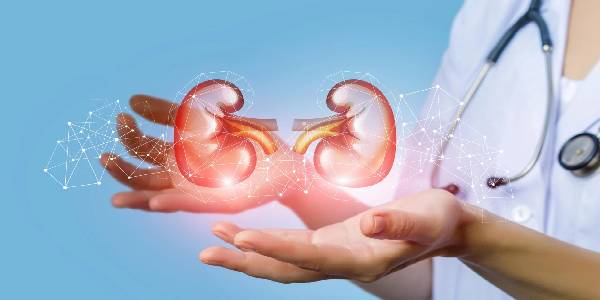 சிறுநீரக தினத்தை முன்னிட்டு வெளியான அதிர்ச்சி தகவல்!