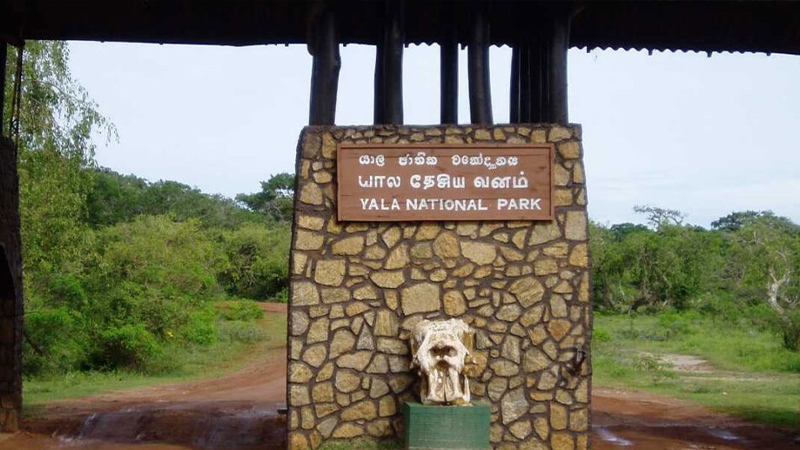 எவ்வித முன்னறிவிப்பும் இன்றி மூடப்பட்ட யால தேசிய பூங்கா