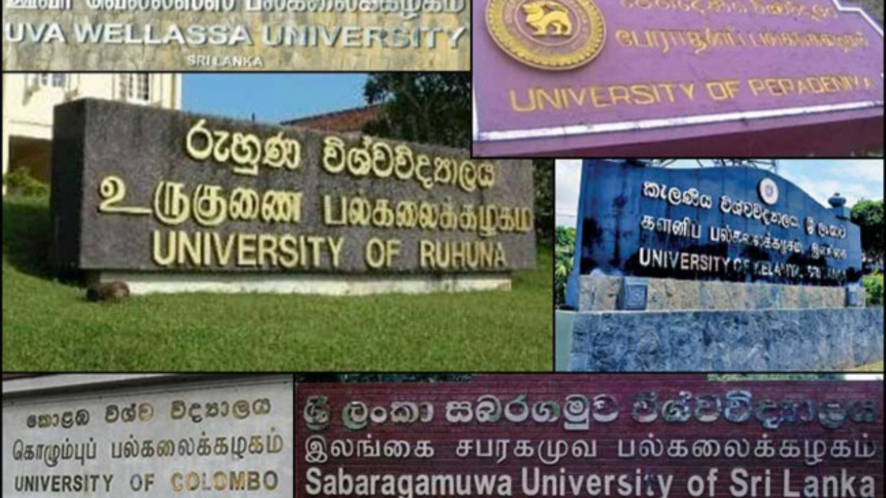 177,000க்கும் மேற்பட்ட மாணவர்கள் பல்கலைக்கழக நுழைவுக்குத் தகுதி!