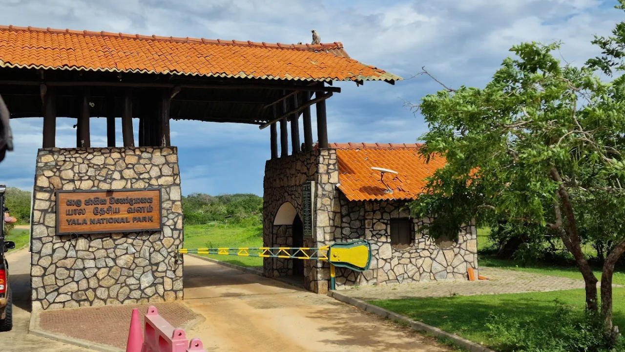 யால தேசிய பூங்காவில் புதிய மண்டலம்!