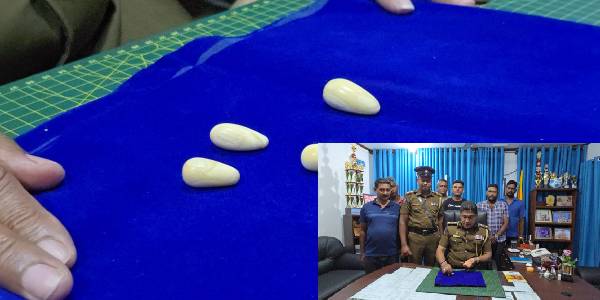 பல இலச்சம் பெறுமதியான கஜமுத்துக்களுடன் முன்னாள் பொலிஸ் உத்தியோகத்தர் கைது!