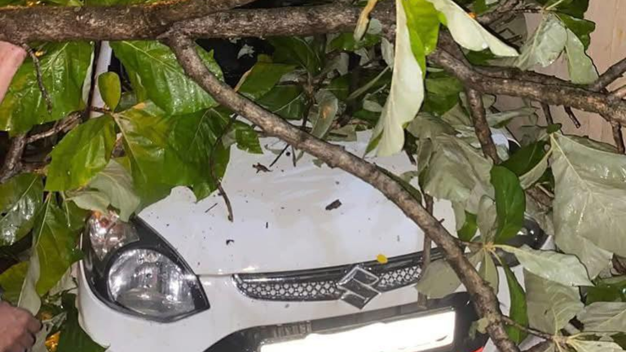 வானிலை பேரழிவு: 7 முக்கிய தகவல்கள்!