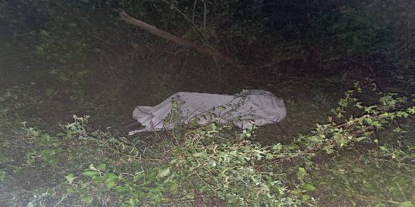 காட்டு யானை தாக்கி ஒருவர் உயிரிழந்துள்ளார்!