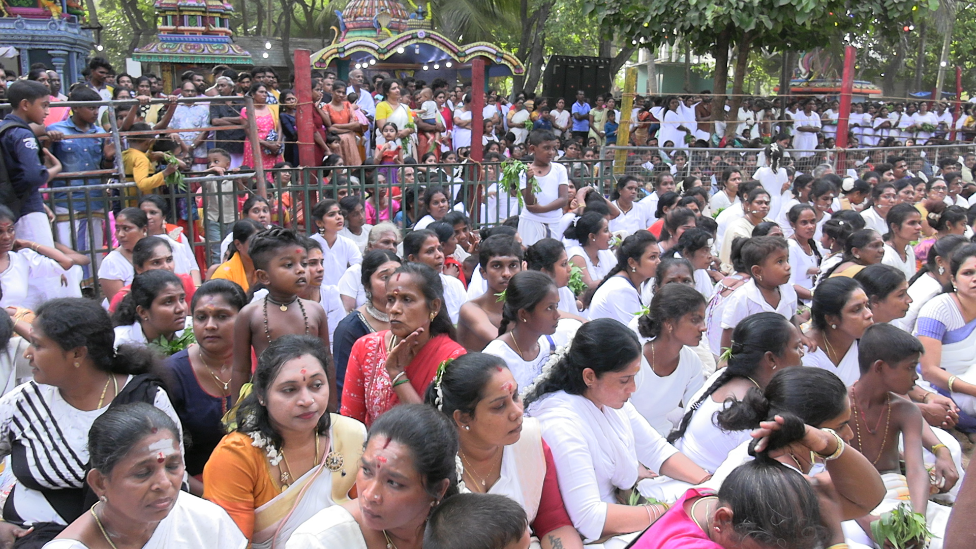 மட்டக்களப்பு புன்னைச்சோலை அருள்மிகு பத்திரகாளியம்மன் ஆலயத்தின் தீமிதிப்பு உற்சவம்!