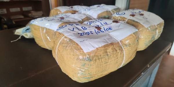 வவுனியாவில் வீடொன்றில் இருந்து 10 கிலோ கஞ்சா மீட்பு!