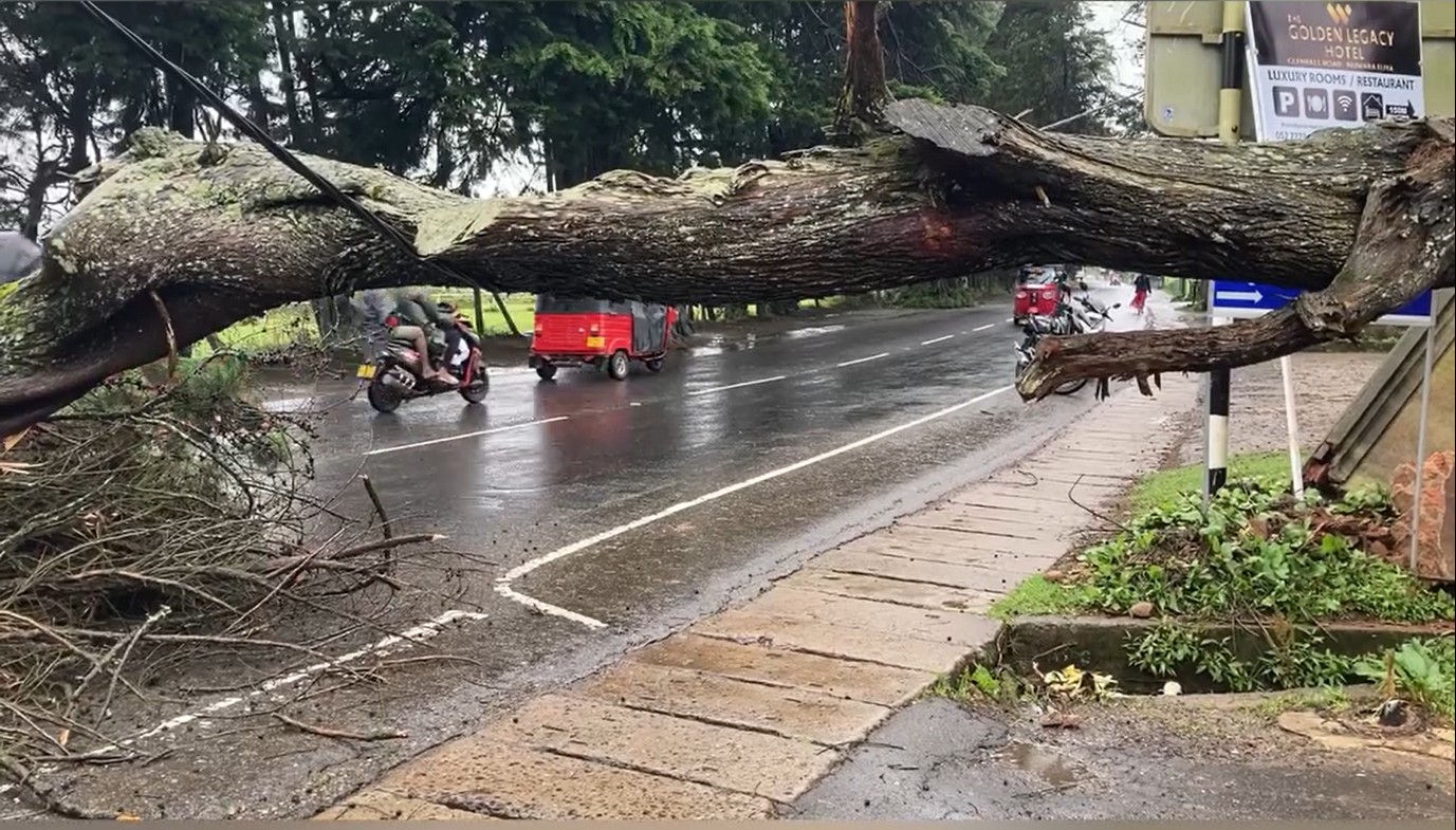 நுவரெலியா – பதுளை பிரதான வீதியில் போக்குவரத்து பாதிப்பு!