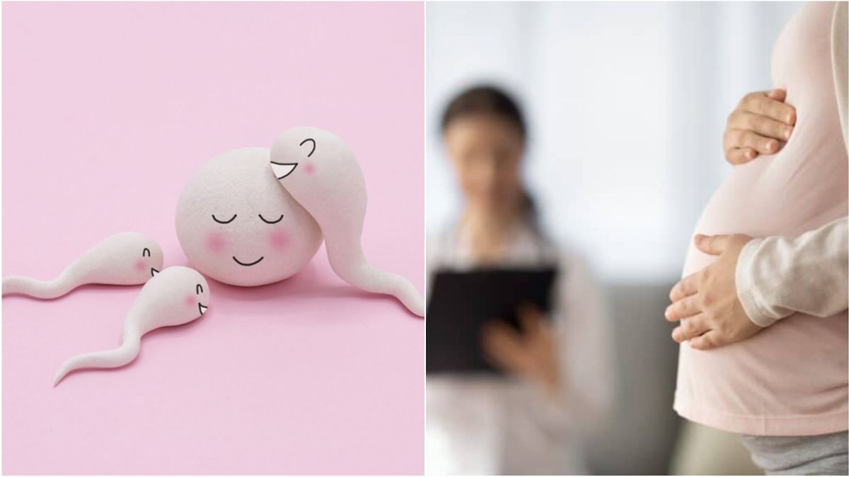 கருத்தரிப்பில் செயற்கை நுண்ணறிவு தொழில்நுட்பம்! கொலம்பியா ஆராய்ச்சியாளர்கள் சாதனை