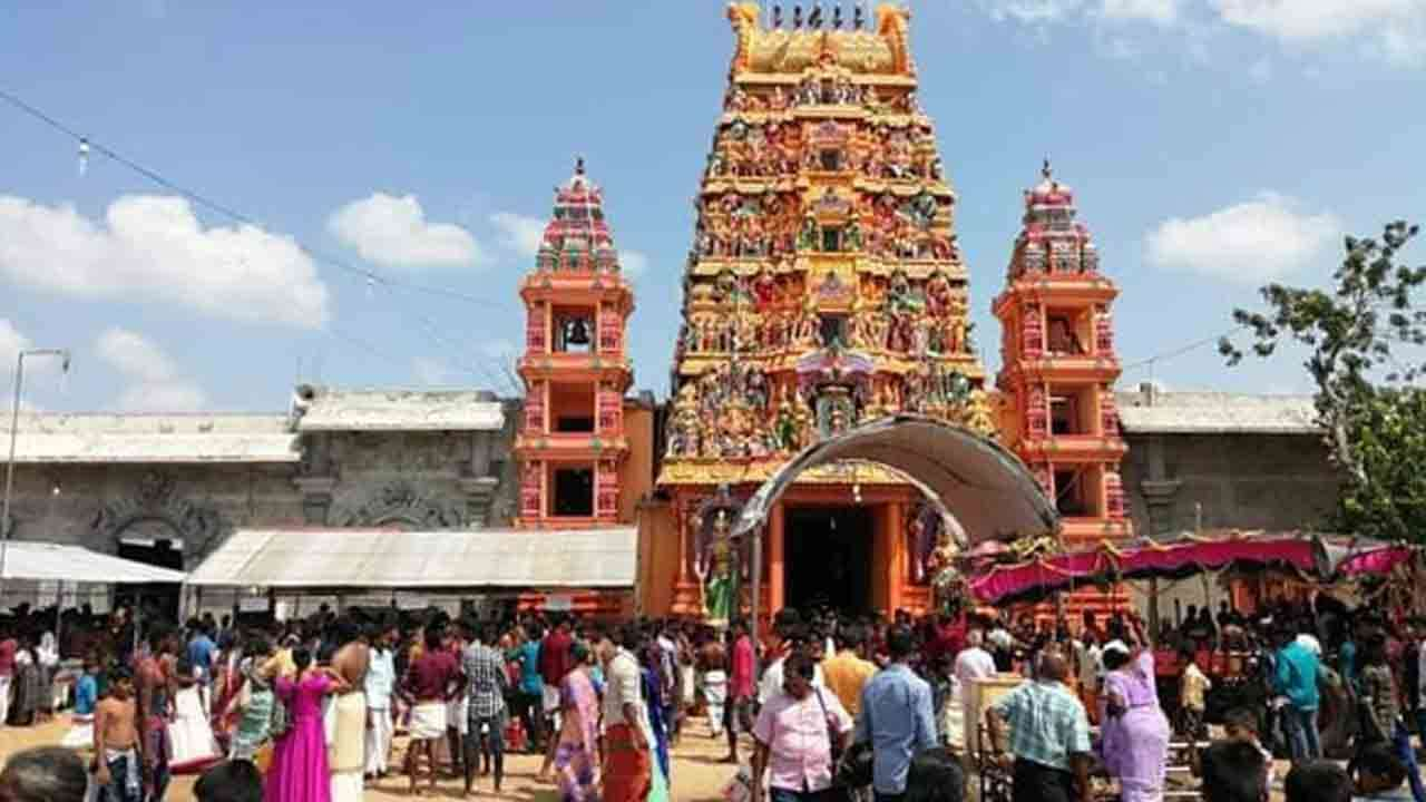 வற்றாப்பளை கோயில் திருவிழாவை முன்னிட்டு விசேட போக்குவரத்து !