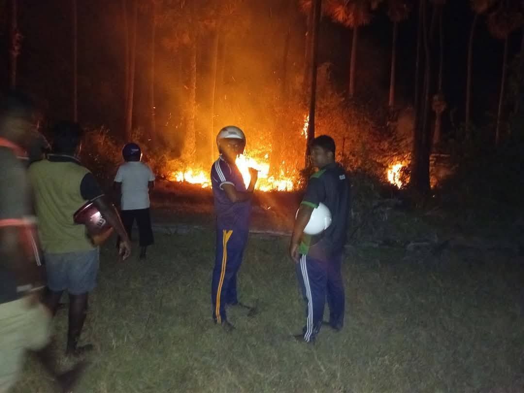 கசூரினா கடற்கரையில் பாரிய தீ விபத்து!