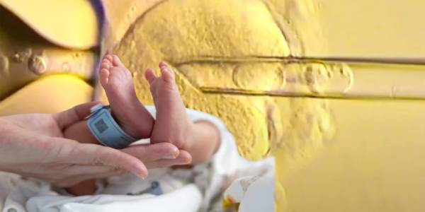 மூவரின் டி.என்.ஏ மூலம் பிறக்கும் குழந்தைகள் பரம்பரை நோயின்றி பிறக்கின்றன!