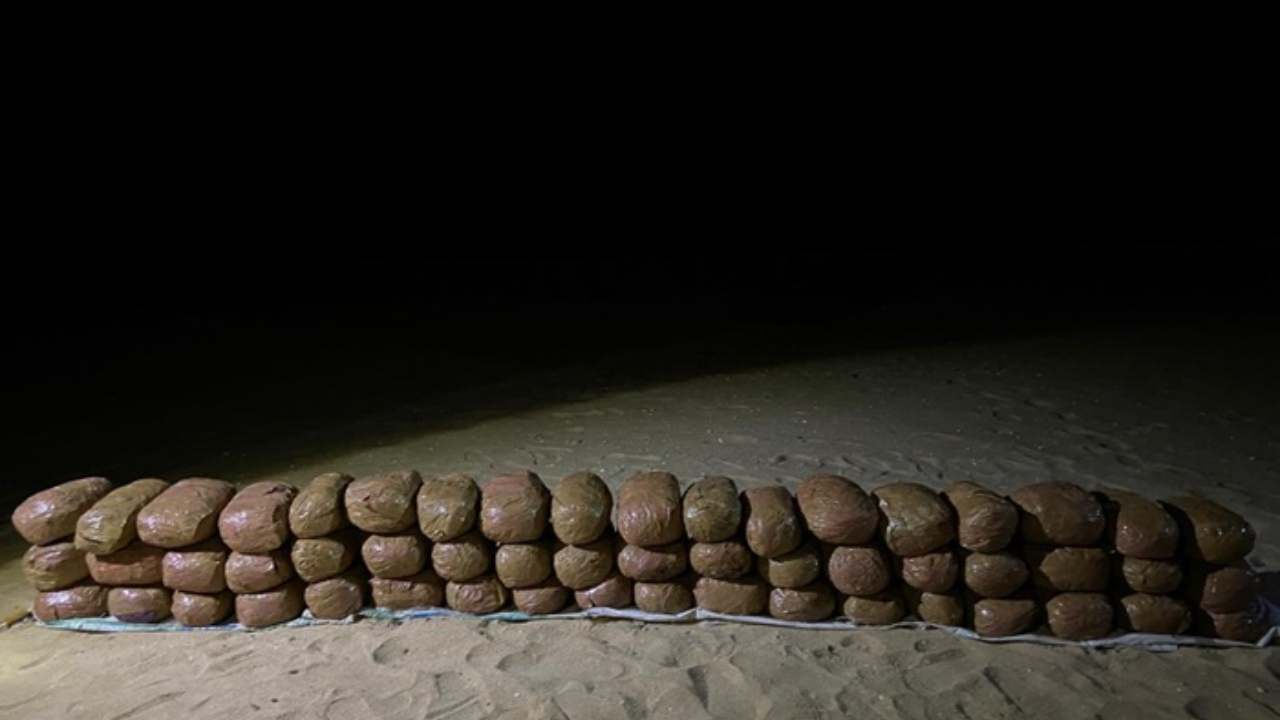 யாழில் 21 மில்லியன் ரூபா பெறுமதியான கேரள கஞ்சா மீட்பு!