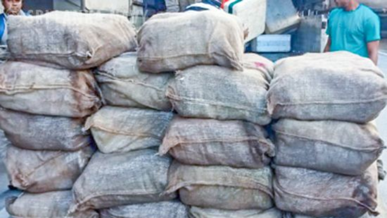 202 மில்லியன் ரூபா பெறுமதியான கேரள கஞ்சா மீட்பு!