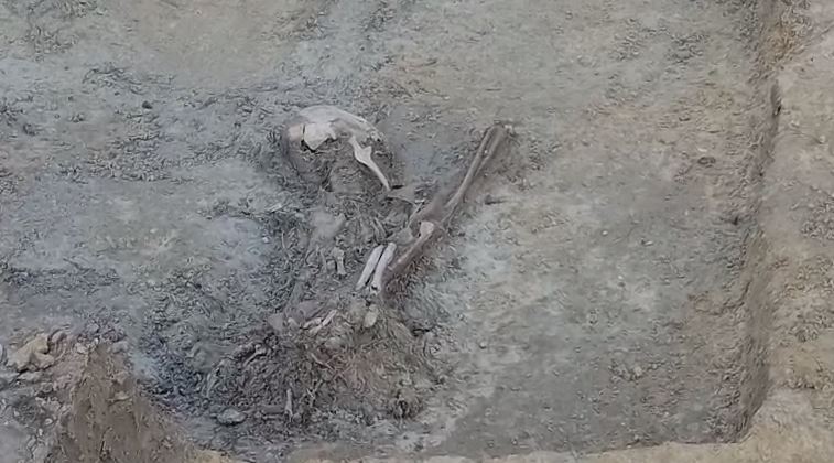 செம்மணி மனித புதைகுழியிலிருந்து இதுவரை 101 மனித எலும்புக்கூட்டு தொகுதிகள் அடையாளம் !