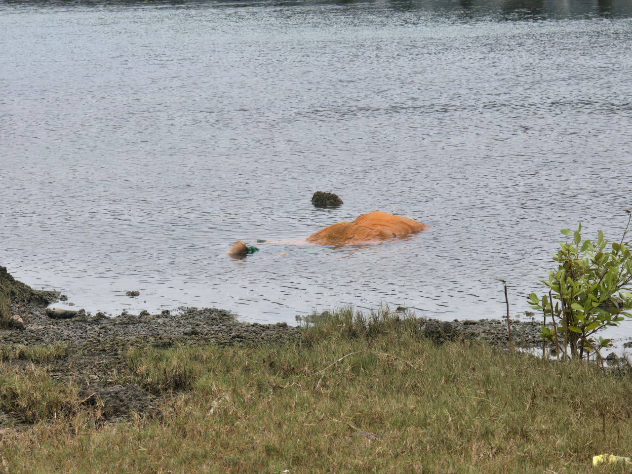 தொண்டைமானாறு கடல் நீர் ஏரியிலிருந்து பெண் ஒருவரின் சடலம் மீட்பு!