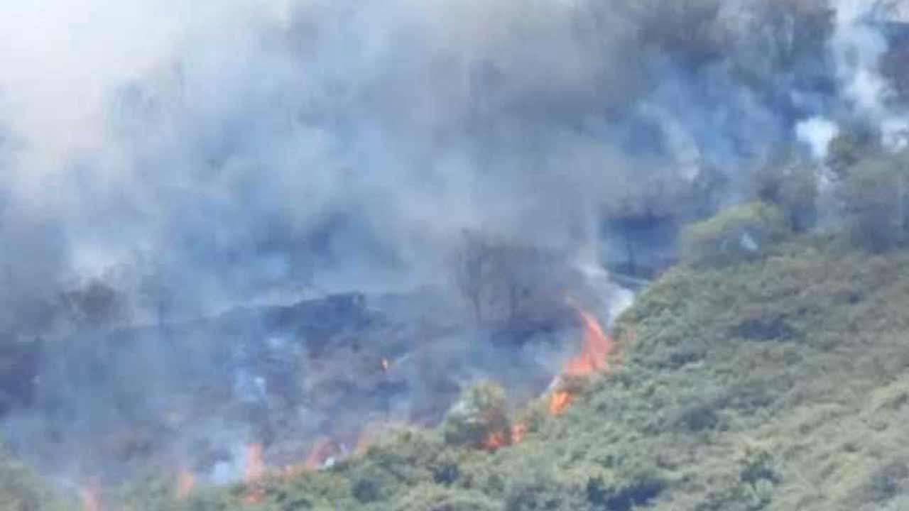 ரத்தனகொல்ல மலைப் பகுதியல் இன்று திடீரென ஏற்பட்ட தீப்பரவல்!