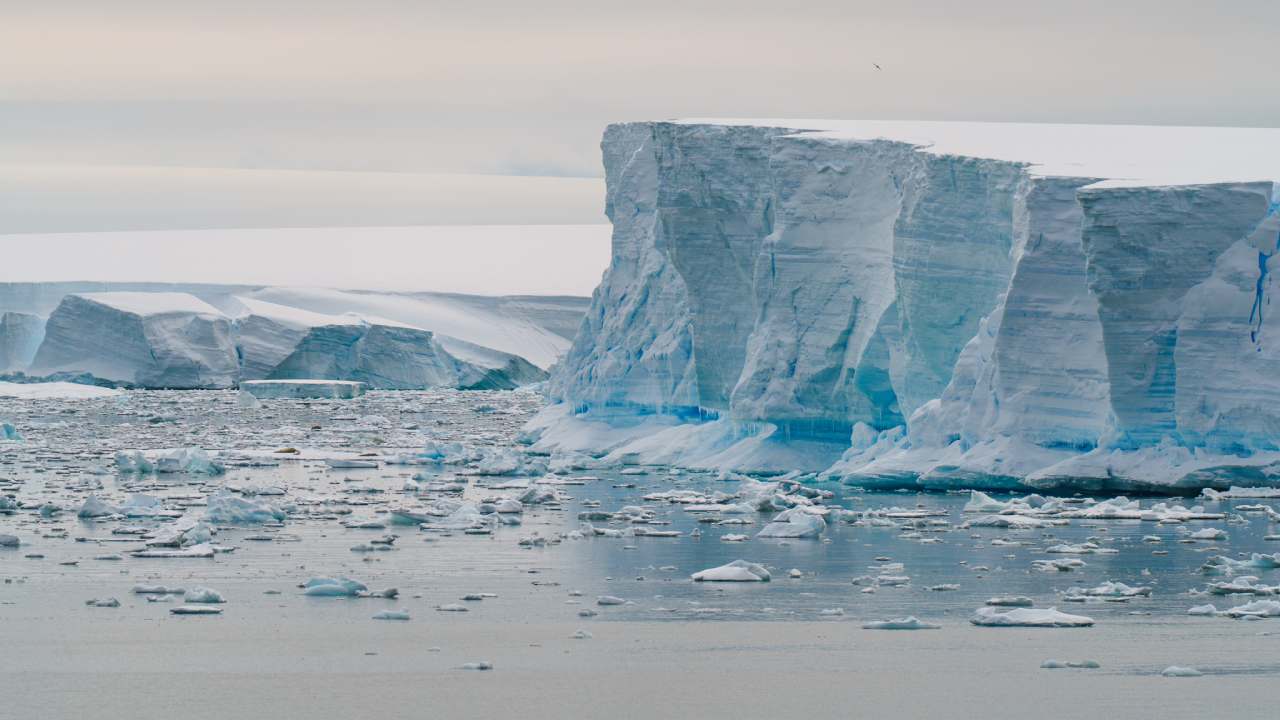 உருகி வரும் மேற்கு அண்டார்டிக் பனிப்படலம்; எச்சரிக்கும் ஆராய்ச்சியாளர்கள்!