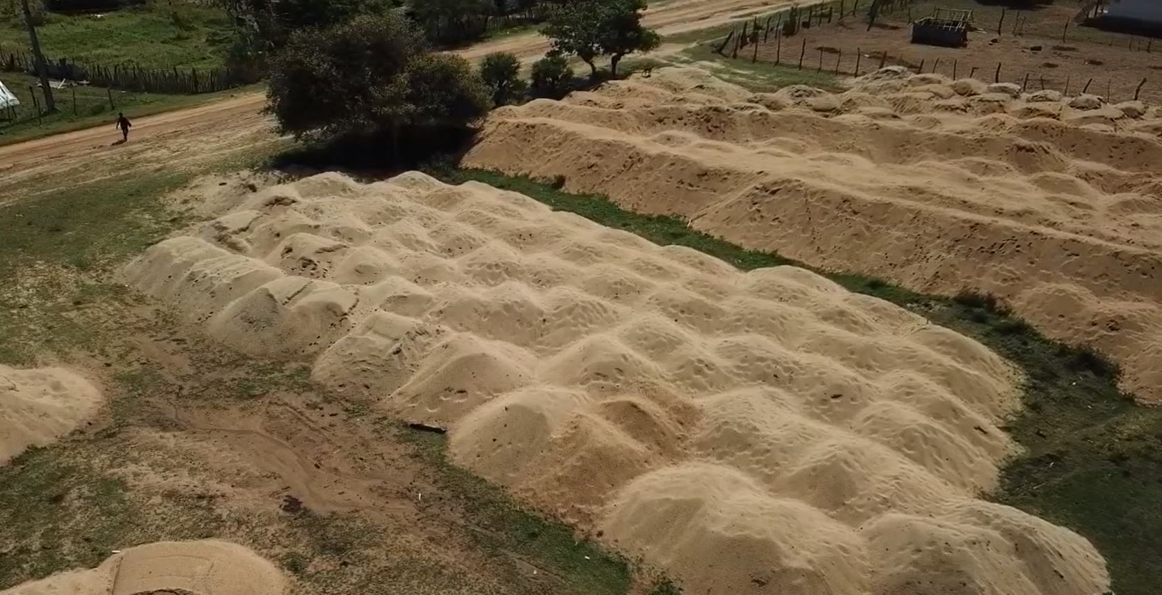 கண்டல் காட்டுப் பகுதியில் 10 இடங்களில் சட்டவிரோதமாக சேகரித்து வைக்கப்பட்டிருந்த மணல் கண்டுபிடிப்பு!