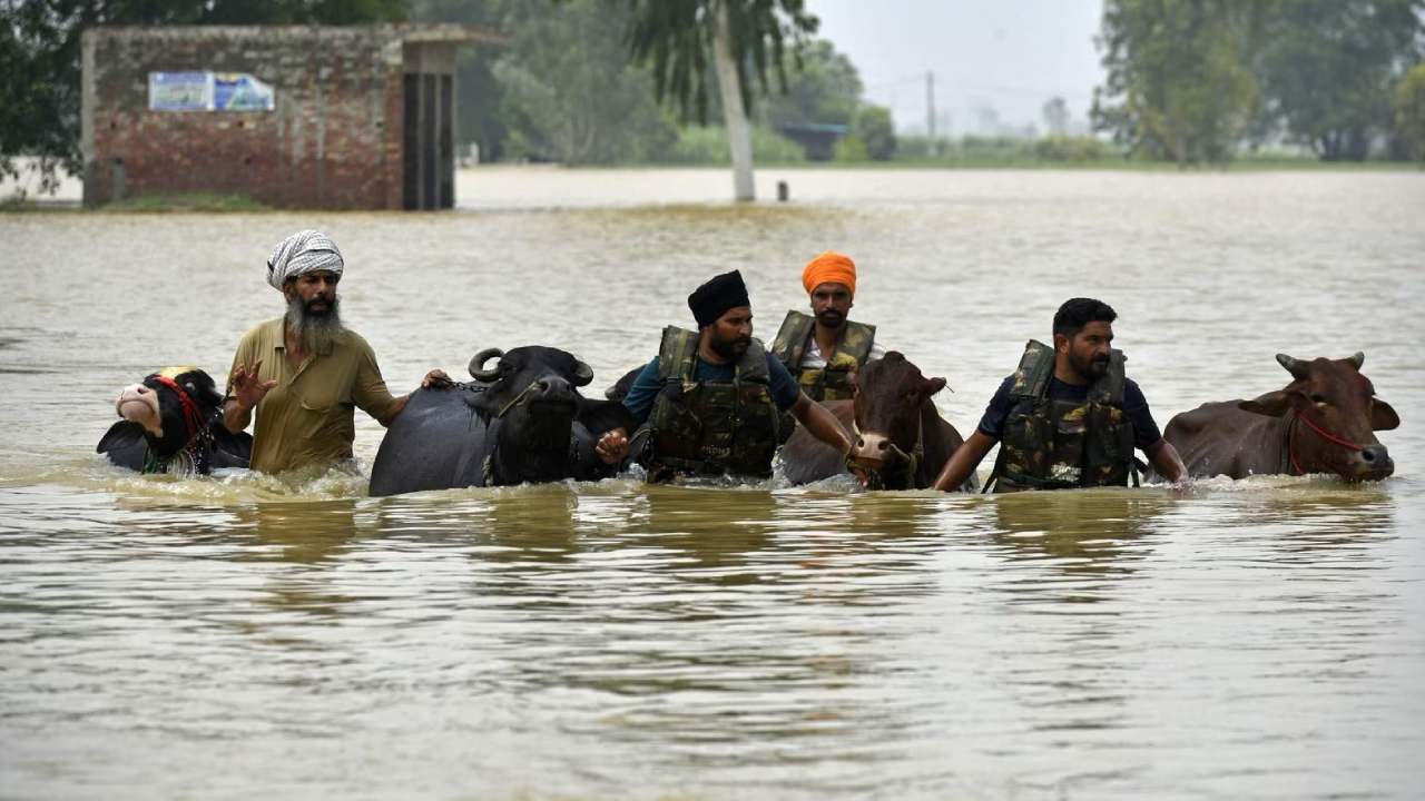 இந்தியாவை இடைவிடாது தாக்கும் மழை; தொடரும் மண்சரிவுகள்!