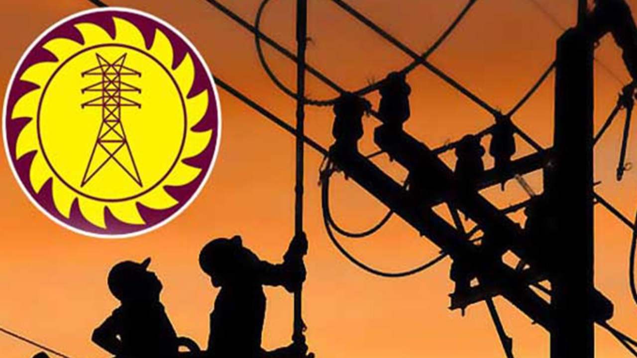 புதிய மின்சார நிறுவனங்களுக்கு பணியாளர்களை ஆட்சேர்ப்பு செய்யும் பணி ஆரம்பம்!