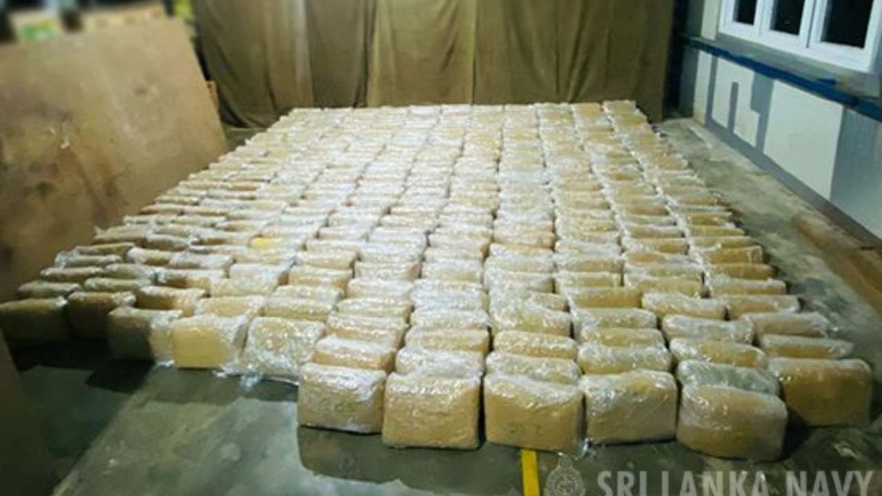 மன்னாரில் 203 மில்லியன் ரூபாவுக்கும் அதிகம் பெறுமதியான கேரள கஞ்சா மீட்பு!