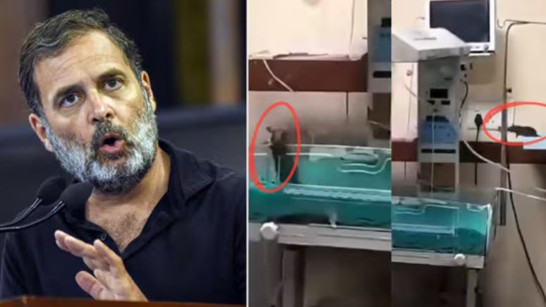 அரச வைத்திய சாலையில் எலி கடித்ததில் 2 குழந்தைகள் உயிரிழப்பு: ராகுல் காந்தி கண்டனம்