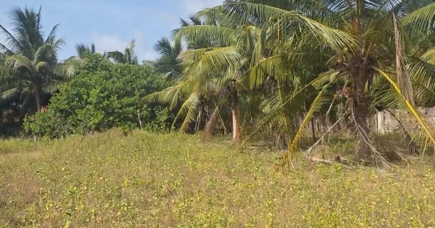 கிளிநொச்சி மாவட்டத்தில் பாதுகாப்பு படையினர் வசமிருந்த காணிகள் விடுவிப்பு!