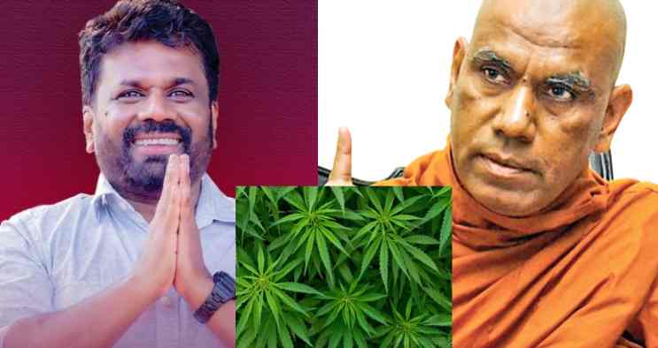 மீரிகமையை ‘கஞ்சா தோட்டமாக’ மாற்றுவது சரியா? – ஓமல்பே சோபித தேரர் அரசாங்கத்திடம் கேள்வி