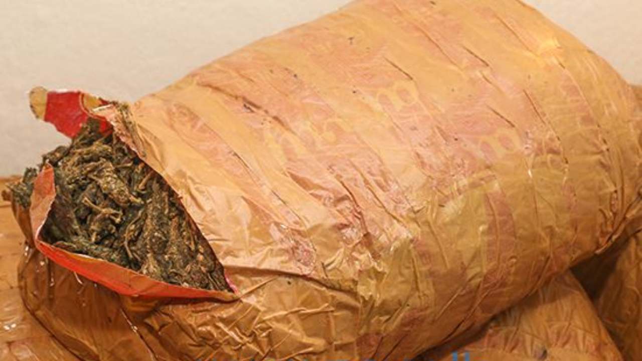 196 கிலோ கேரள கஞ்சாவுடன் ஒருவர் கைது!