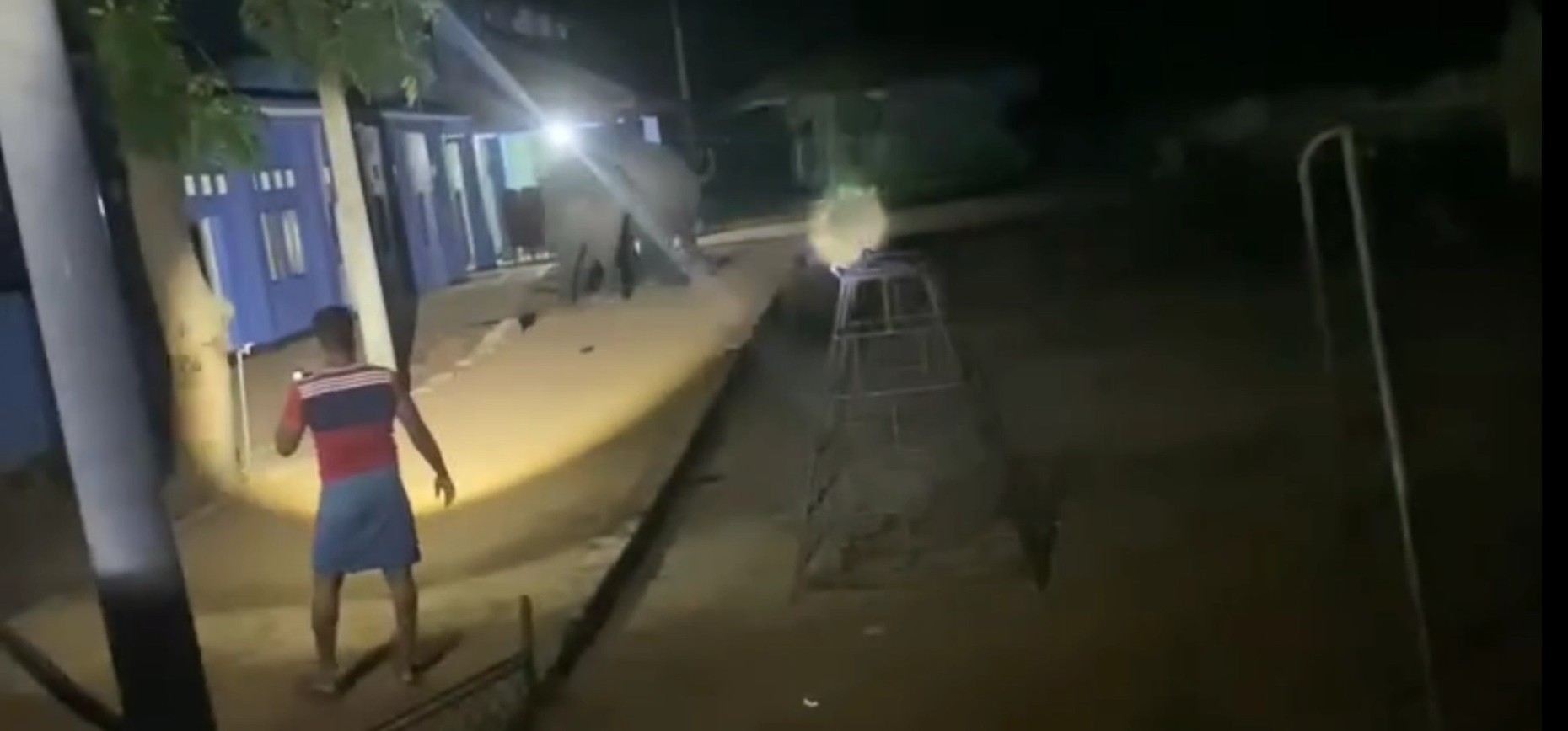 ஆரையம்பதி பகுதியில் இரவு வேளையில் திடீரென நுழைந்த காட்டு யானை! மக்கள் பதற்றம்!