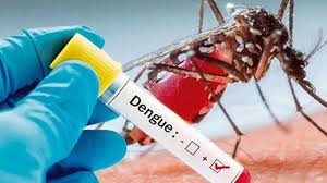 மழைக்காலத்தில் டெங்கு நோய் அதிகரிப்பு!