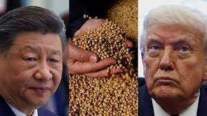 சோயாபீன்ஸ் விவகாரம்: சீன ஜனாதிபதியை  4 வாரங்களில் சந்திப்பேன்- டொனால்ட் ட்ரம்ப்