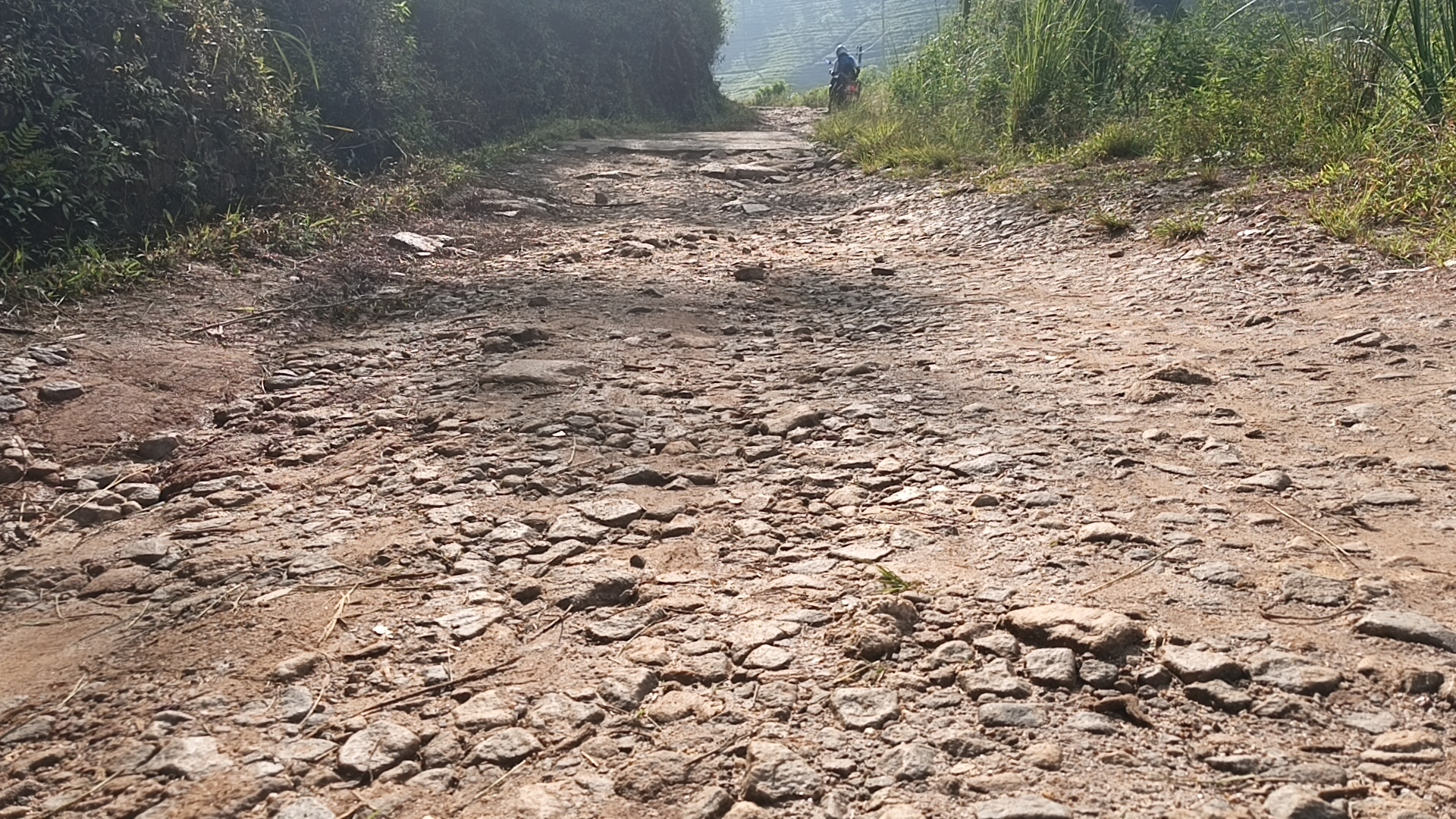 15 வருட காலமாக புனரமைக்கப்படாத என்ஃபீல்ட் ரோஸ்க்கிலியா தோட்ட வீதி. 