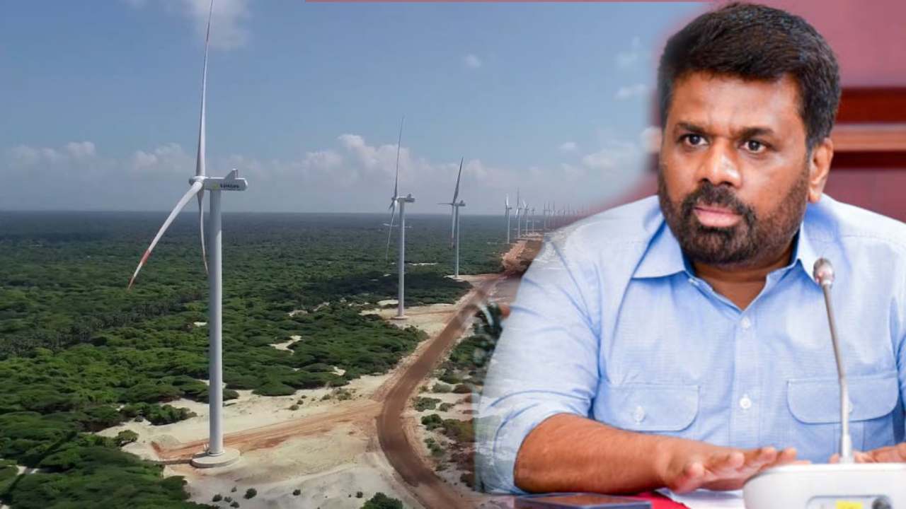 மன்னார் காற்றாலை மின் திட்டம்; ஜனாதிபதியின் விசேட உத்தரவு!