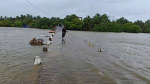 திருகோணமலை மாவட்டத்தில் கடும் மழையால் வேளாண்மை பெரும் பாதிப்பு!