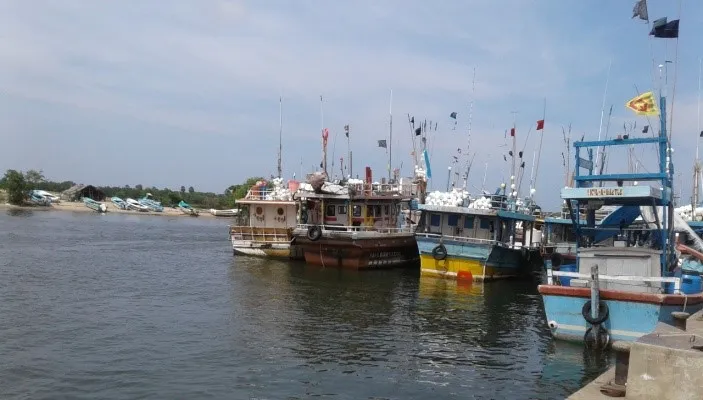 வாழைச்சேனை மீன்பிடித்துறைமுகத்தை மேம்படுத்த 350 மில்லியன் ரூபாய் நிதி ஒதுக்கீடு!