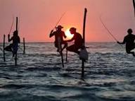 நன்னீர் மீன்களுக்கான கிராக்கி  அதிகரிப்பு!