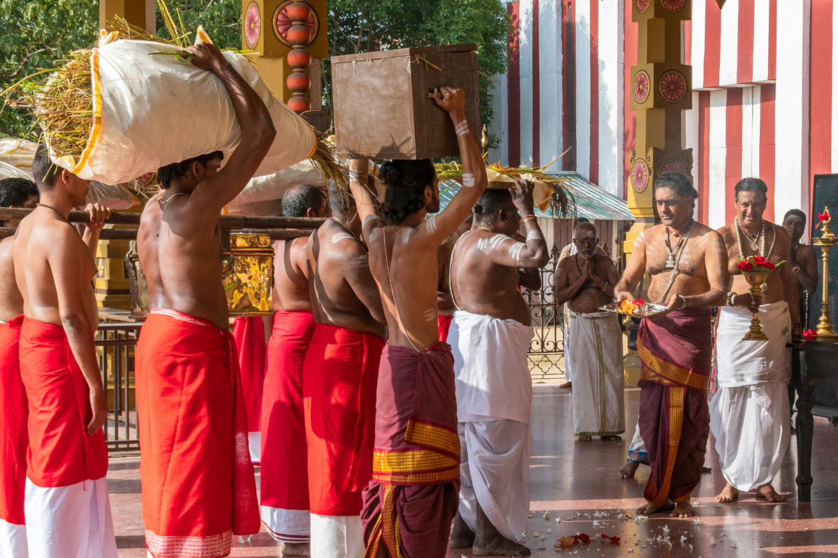 நல்லூர் ஶ்ரீ கந்தசுவாமி தேவஸ்தானத்தின் நெற்புதிர் அறுவடை நிகழ்வு
