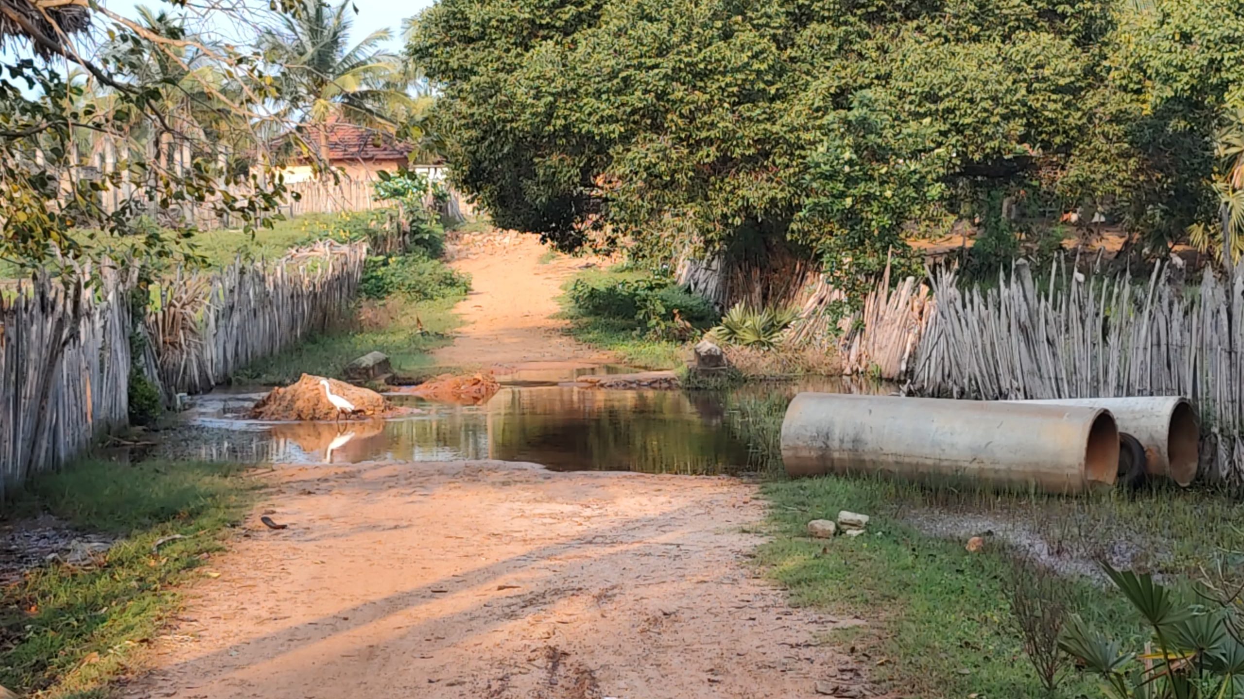 தியோகுநகர் ,  தீர்த்தக்கரைப் பகுதிகளில் வீதிகள் சீரின்மையால் பொதுமக்கள் சிரமம்!