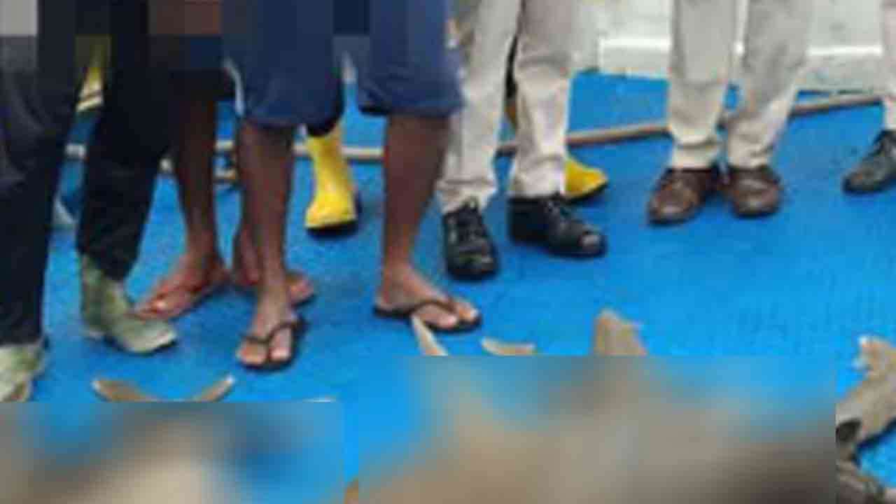 சட்டவிரோதமாகப் பிடிக்கப்பட்ட 800 கிலோகிராமிற்கும் அதிகமான சுறா மீன்களுடன் 7 பேர் கைது!