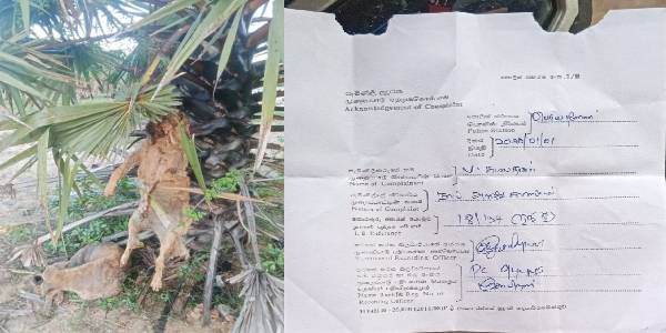 நாய் இறைச்சிக்காக உரிக்கப்பட்டு தொங்கிய நிலையில் மீட்பு – பெரியநீலாவணை பகுதியில் சம்பவம்!